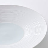 Seihakuji Plate, Medium