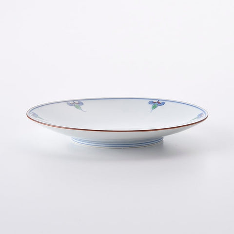 Small Sukitoru Plate, Botanic