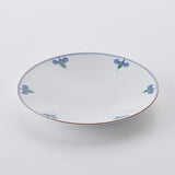 Large Sukitoru Plate, Botanic