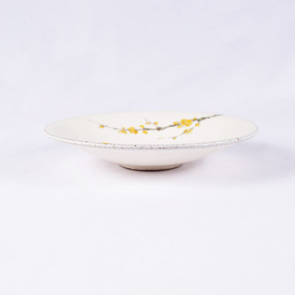 Hand-Painted Artisanal Chinese Plate, Plum Flowers