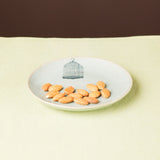 Plate, Bird Cage
